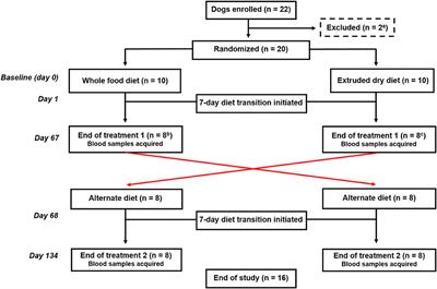 Effects of a whole food diet on immune function and inflammatory phenotype in healthy dogs: A randomized, open-labeled, cross-over clinical trial